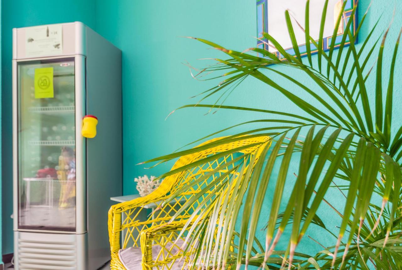 Hostal Tropical Almunecar Ngoại thất bức ảnh